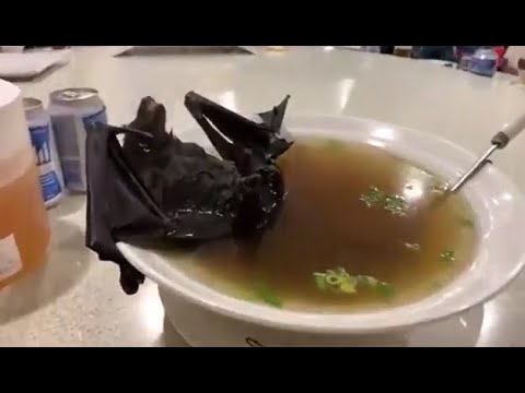 Sopa de murciélago y las mentiras que se expanden con el coronavirus 1 Sopa de murciélago y las mentiras que se expanden con el coronavirus