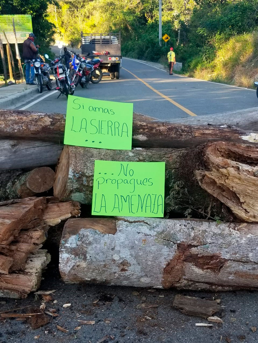 Maguina detienen paso Covid 19