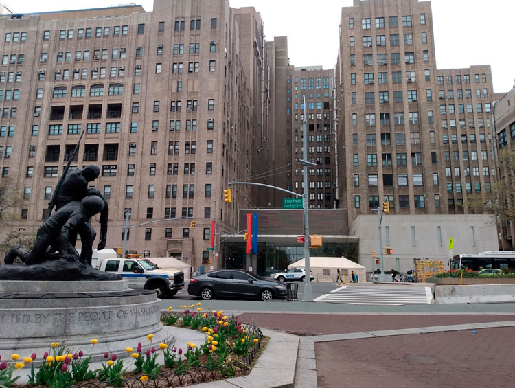 Crónicas de un corona-york viviente