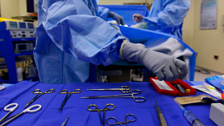 Consiguen recuperar pulmones humanos dañados tras conectarlos a cerdos vivos 1 Mesa quirurgica FE