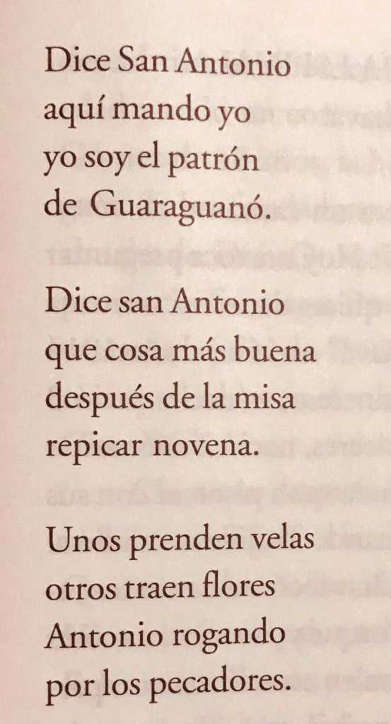 Nico Lora San merengue Antonio 2