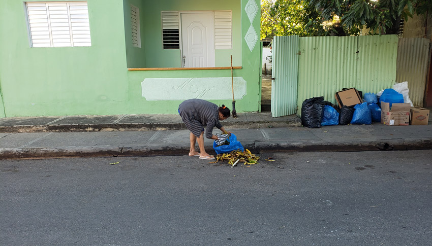 Basura Bolsillo Mary