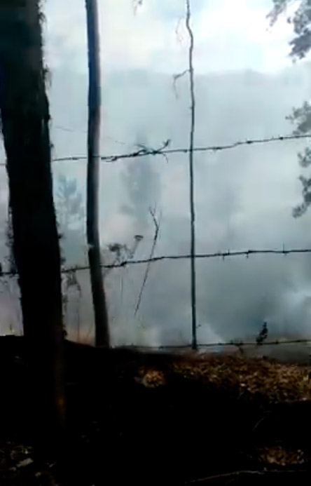 Fuego destruye bosque en Santiago Rodríguez (+vídeo)