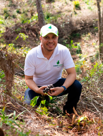 Coopsano en coordinación con medio ambiente realiza jornada de reforestación 2 Coopsano reforestacion 2021 4
