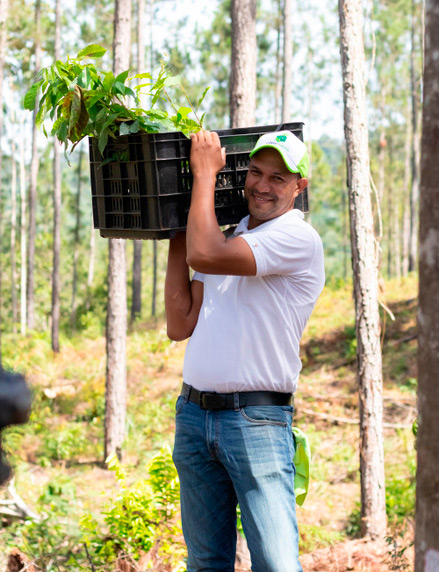 Coopsano en coordinación con medio ambiente realiza jornada de reforestación 5 Coopsano reforestacion 2021 5
