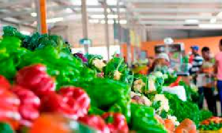 aumenta canasta familiar FE