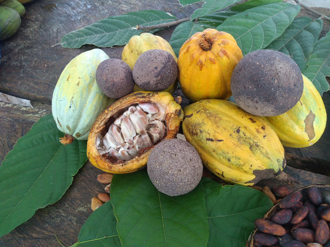 Villa Vitalina proyecto frontera 5