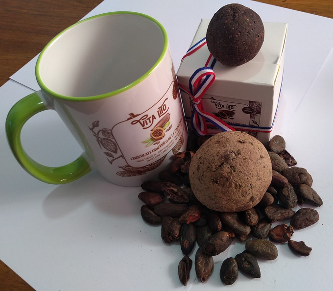 Villa Vitalina proyecto frontera 8