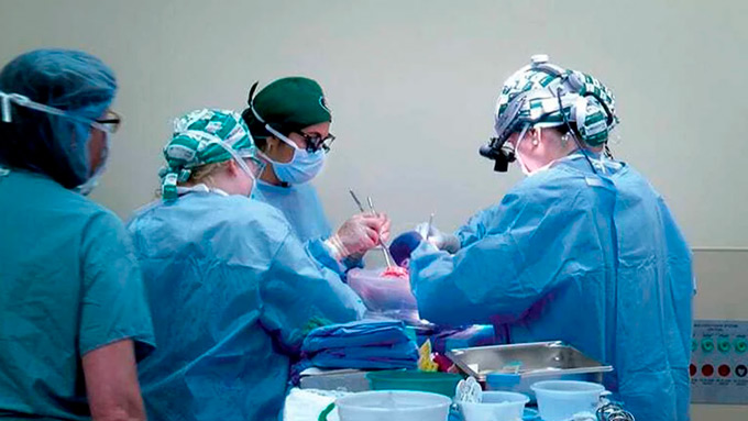 Medicos trasplante FE