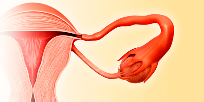 Estudio revela que las relaciones sexuales frecuentes retrasan la menopausia 1 Estudio revela que las relaciones sexuales frecuentes retrasan la menopausia