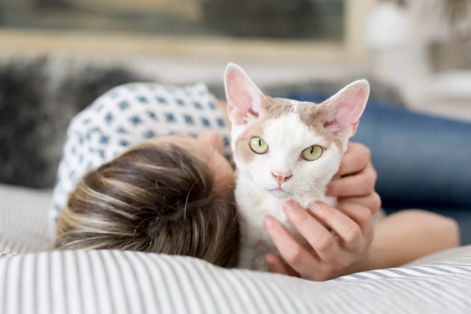 Dormir con el gato, ¿un placer o una condena? 3 Dormir con el gato, ¿un placer o una condena?