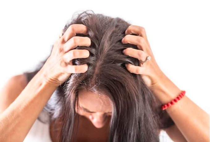 Cabeza cuero cabelludo FE