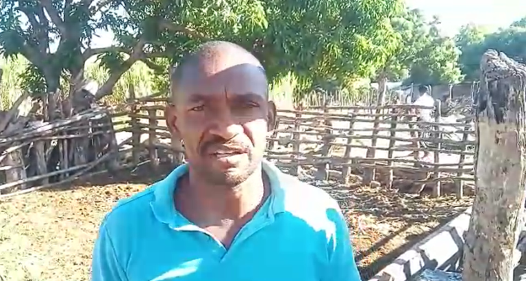 (Vídeo) Con lágrimas ganadero de Dajabón narra el robo de todo su ganado en una «frontera blindada»