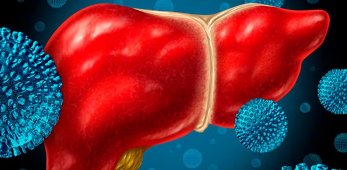 Infeccion hepatica higado humano FE
