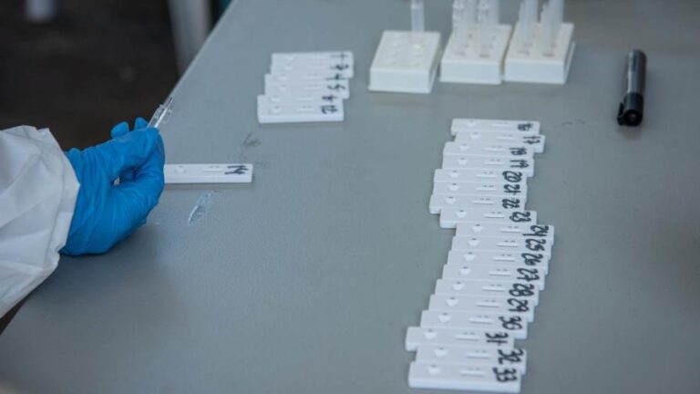 Variante JN.1 es la dominante en territorio dominicano