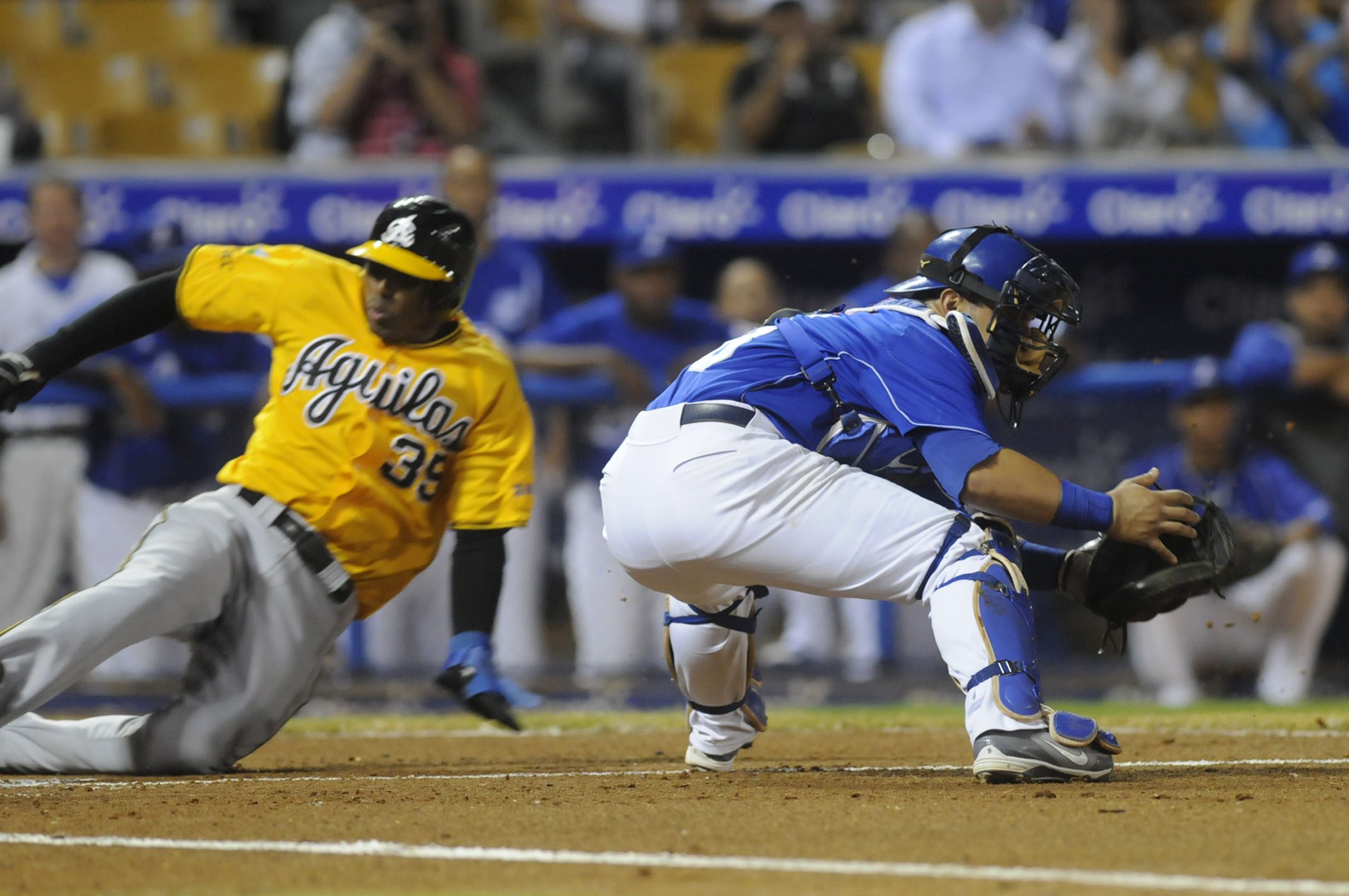Aguilas y Licey inician este jueves la serie final 1 Aguilas y Licey inician este jueves la serie final