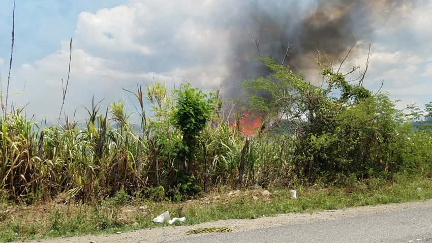 Fuego destruye vegetación en Los Tomines 1 Fuego plantaciones Puentecitos Tomines