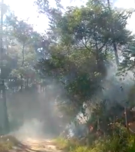 Haitianos provocan fuegos destruyó cerca de cien tareas de pastos en Santiago Rodríguez 2 Haitianos provocan fuegos destruyó cerca de cien tareas de pastos en Santiago Rodríguez
